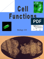 4 - Cell Functions 131