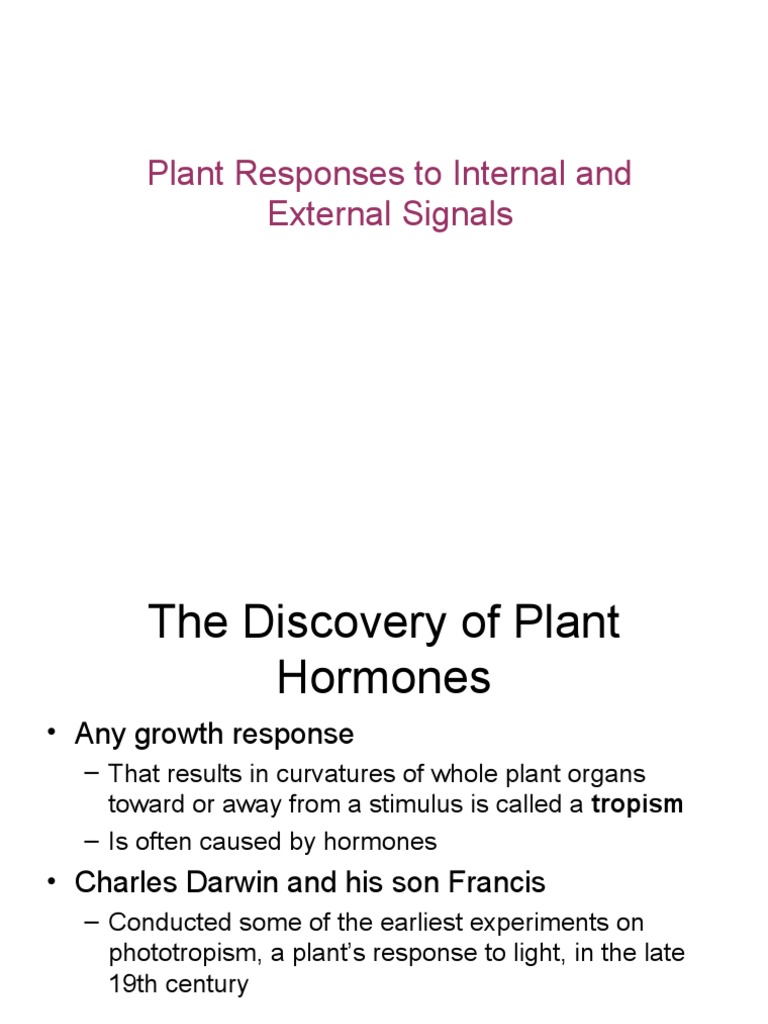Plant Hormones and Growth Responses | PDF | Auxin | Plant Hormone