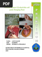 Download AnalisisBakteriEscherichiaColiPadaDangingIkanbyPutraHarapanBangsaSN32765597 doc pdf