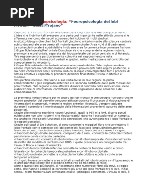 Riassunto Neuropsicologia Dei Lobi Frontali