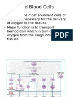 RBC Function, Production, Destruction & Types of Anemia (39