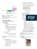 Botany - Flower Structure PDF