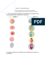 Marzo Guía2 de Ciencias Naturales Unidad O 1º Basico.