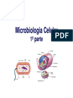 5 Microbiologia Celular 1 Parte