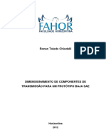 Ronan_Toledo_Chiodelli.pdf