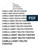 Camila Lisset Delfin Fuentes