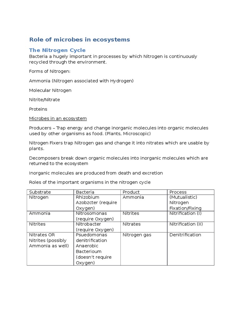 Microbes and the Nitrogen Cycle Explained | PDF