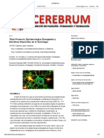 Cerebrum