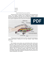 Rifqi Ramdani - 230110150230 Kelenjar Pencernaan Pada Ikan