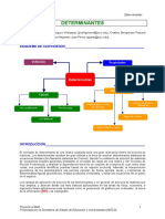 Determinantes.pdf