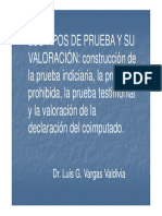 Tipos de Prueba y Su Valoracion-Luis Vargas Valdivia PDF