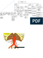 Mapa-Anatomia de Las Arterias