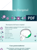 AliciaHueso Occipital