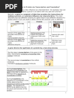 DNA Mutations Lab Answer Key | PDF | Genetic Code | Point Mutation