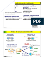 biosenalizacion.pdf
