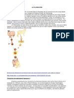 clonacion_alumnos.pdf