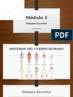 Módulo 1-Sistema Excretor