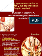 Fascias abdominales y sus dependencias anatómicas