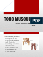 221524016-Tono-Muscular.ppt