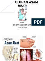 PPT-ASAM-URAT