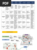 sindromes intoxicacion (1)
