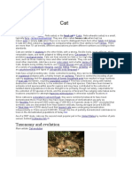 Taxonomy and Evolution: Carnivorous Mammal