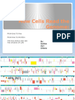 How Cells Read the Genome