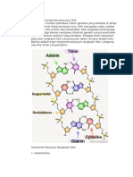 Struktur Dna