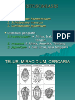 Schistosomiasis