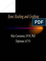Bone Healing