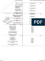 Print Endocrine System Exam Flashcards
