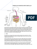 Anatomi Dan Fisiologi Sistem