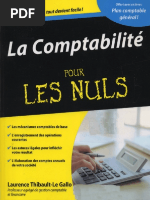 Comptabilite Pour Les Nuls Pdf