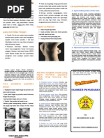 Download Leaflet CAmamae by Agyan Tr SN32777118 doc pdf