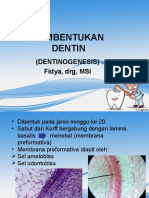 Dentinogenisis