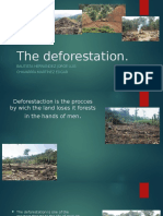 The Deforestation