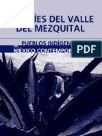 otomies_valle_mezquital.pdf