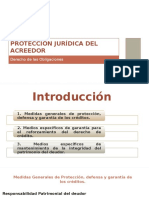 Protección Jurídica Del Acreedor