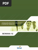 Legis Aplic Seg Saude Trab s12