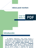 Cambios Post Mortem