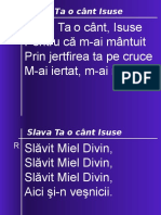 Slava Ta o Cant