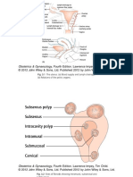 the Uterus and Its Abnormalities