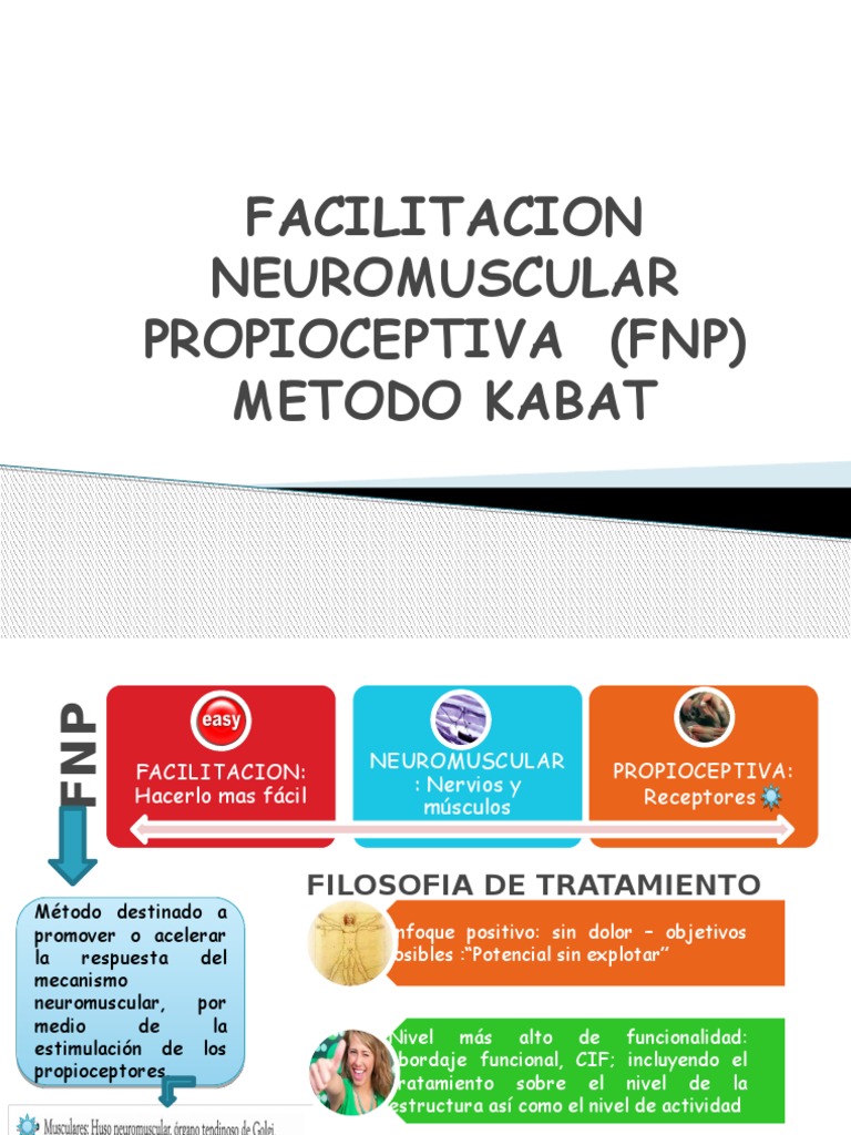 Ejercicios y Técnicas del Método Kabat | PDF | Contracción muscular ...