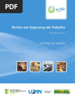 Sociologia Do Trabalho - TEXTO BASE PARA A DISCIPLINA