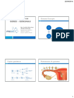 1 - Organización de genes y genomas.pdf