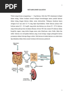 Metabolisme Kalsium 1