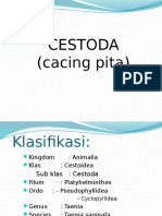 CESTODA