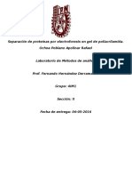 Separación de Proteínas Por Electroforesis en Gel de Poliacrilamida