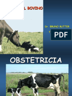 Obstetricia 1 PDF