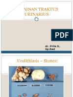 Kelainan Traktus Urinarius